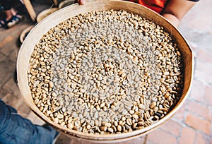 Indonesian woman holding a wooden tray of roasted coffee beans from civet cat poo.