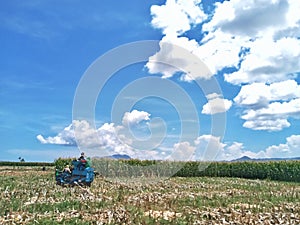 Indonesian Workers and Farmers During the Process of Milling Corn in Harvest Season at the Field