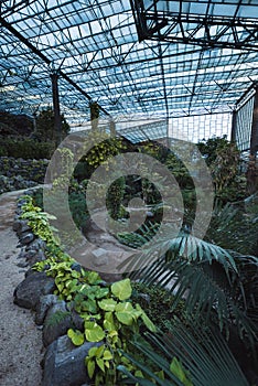 Indoor botanical garden with a multitude of tropical plants around a path, lisbon