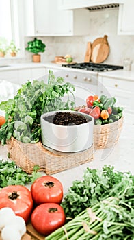 Indoor compost setup with fresh vegetables and herbs on kitchen counter