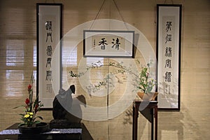 Indoor decorate Potted lotus Chinese calligraphy
