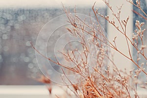 Indoor decoration on rainy day window background in vintage tone