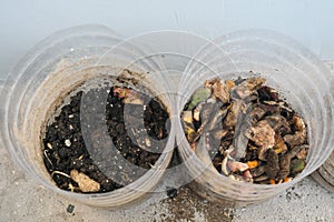 Indoor diy or do it yourself setup of composting kitchen scraps in empty plastic bottle.