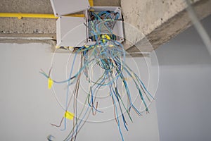 Indoor electrical cable box.