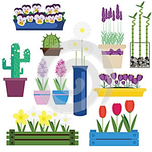 Indoor and garden flowers in pots vector set