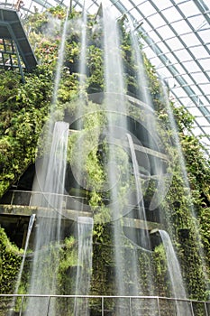 Indoor garden and waterfall