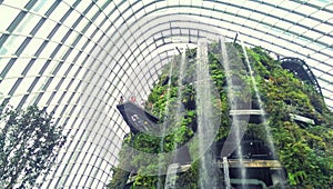 Indoor garden and waterfall