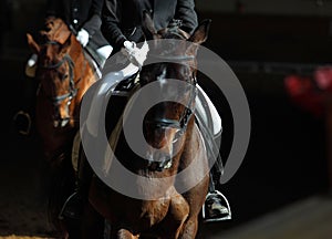 Indoor horse riding area at a riding school