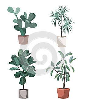 Indoor houseplants vector. Potted home plants illustration. Stylish greenery in pots for the flat design interior