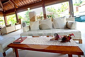 Indoor living room in the tropics