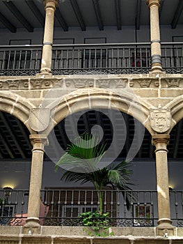 Indoor Patio with Plant