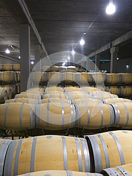 Indoor photo of wooden barrels in old winery