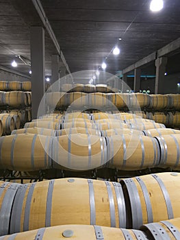 Indoor photo of wooden barrels in old winery