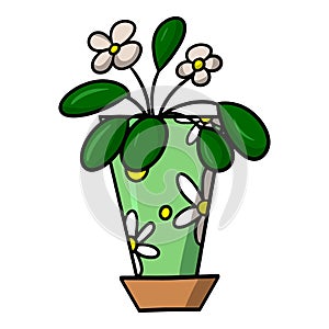 Indoor plant in a green pot with a pattern, saintpaulia flower with white flowers, cartoon vector