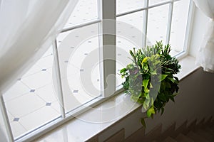 Indoor plant pot on windowsill with windowlight.