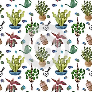 Indoor plant watercolor seamless pattern. Home plants, fig tree, ZZ Plant Zamioculcas,  Snake Plant Sansevieria,  Fiddle Leaf