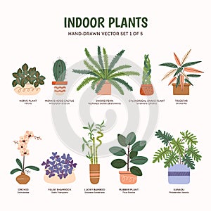 Indoor Plants - Colorful. Set 1 of 5