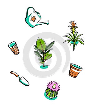 Indoor plants and garden tools