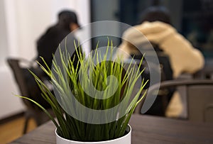 Artificial Plant in Breakroom photo