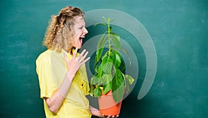 Indoor plants are tough enough to withstand any neglect from their owners. Girl hold plant in pot. Floral shop. Florist