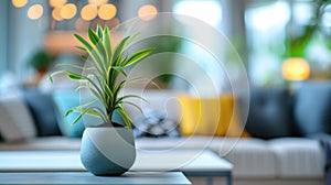 Indoor Potted Plant on Coffee Table with Cozy Living Room Background