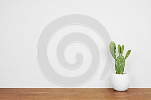 Indoor prickly pear cactus plant in a white pot on wood shelf against a white wall with copy space