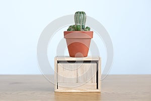 Indoor succulent plant in ceramic pot and blank wooden calendar on white isolated background.