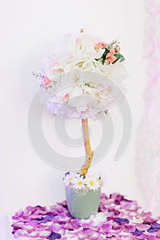 Indoor summer or spring flowers for wedding decor