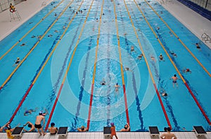 The indoor swimming pool photo