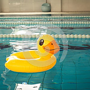 Indoor swimming pool with swim lanes and Duck rubber ring