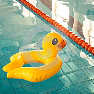 Indoor swimming pool with swim lanes and Duck rubber ring