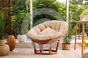 Indoor terrace interior with papasan chair and green plants