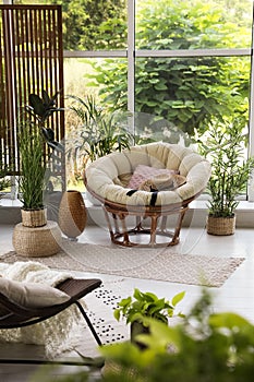 Indoor terrace interior with soft papasan chair and plants