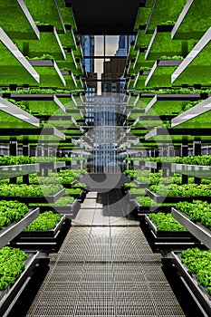 indoor vertical farming in cities - 3D-Illustration