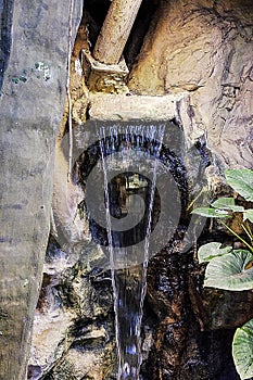 An indoor waterfall in the zoo