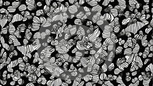 Seamless black and white geometric patterns