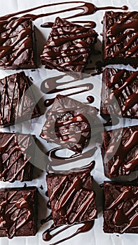 Indulgent brownies, topped with chocolate sauce, elegantly presented on white backdrop