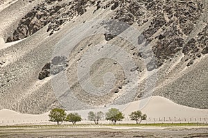 Indus river flowing through mountains in Ladakh