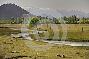 Indus river flowing through plains in Ladakh, India,