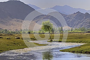 Indus river flowing through plains in Ladakh, India,