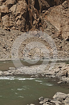 Indus River valley along the road to lake Tsomoriri in Ladakh