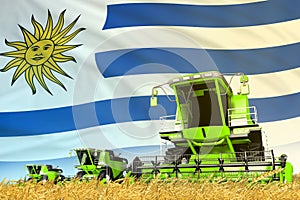 industrial 3D illustration of green rye agricultural combine harvester on field with Uruguay flag background, food industry