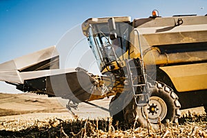 Industrial agriculture machinery working in the fields and harvesting corn.