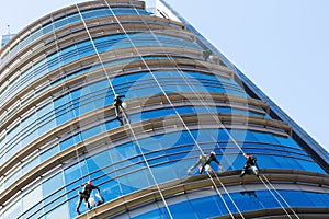 Industrial alpinists cleaning skyscraper photo
