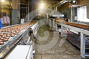 Industrial baking food factory interior with conveyor line or belt. Bakery workshop, cake and cookie production process