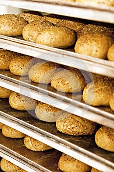 Industrial bread bakery