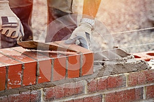 Industrial bricklayer laying bricks on cement mix