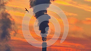 Industrial chimney smoke factory at sunset 4