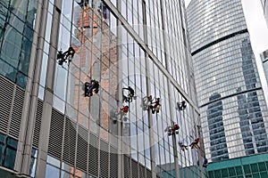 Industrial climber washes glass on the facade of a skyscraper