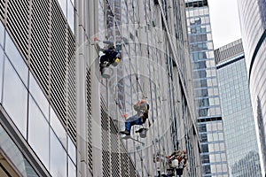 Industrial climber washes glass on the facade of a skyscraper